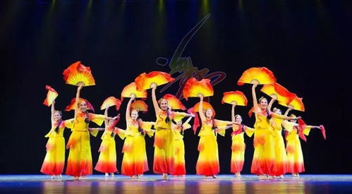 百花齊放春滿(mǎn)園——曹妃甸文化惠民活動(dòng)異彩紛呈