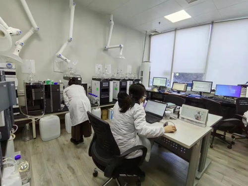 全市首批專精特新服務(wù)站試點(diǎn)落地昌平，助力新材料技術(shù)推廣服務(wù)